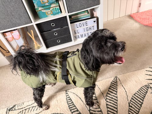 Waterproof Jacket - Green