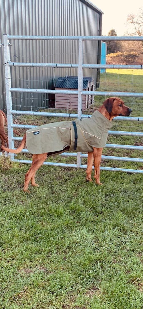 Waterproof Jacket - Green