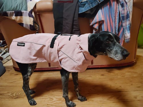 Waterproof Jacket - Pink