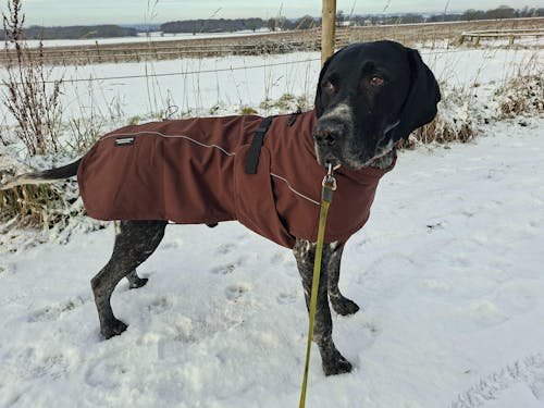Waterproof Jacket - Maroon