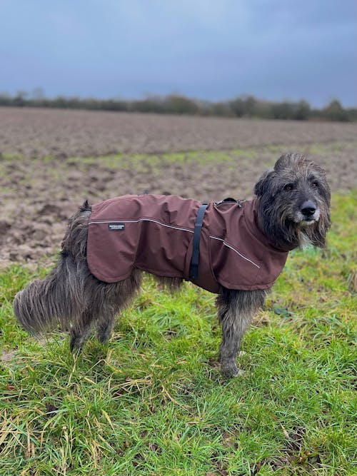Waterproof Jacket - Maroon