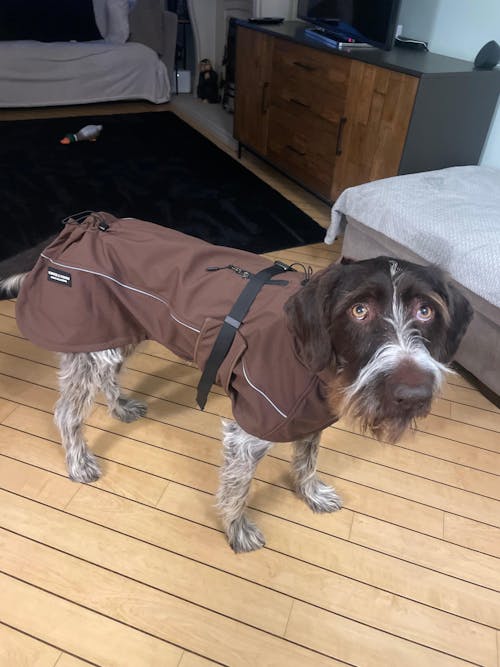 Waterproof Jacket - Maroon