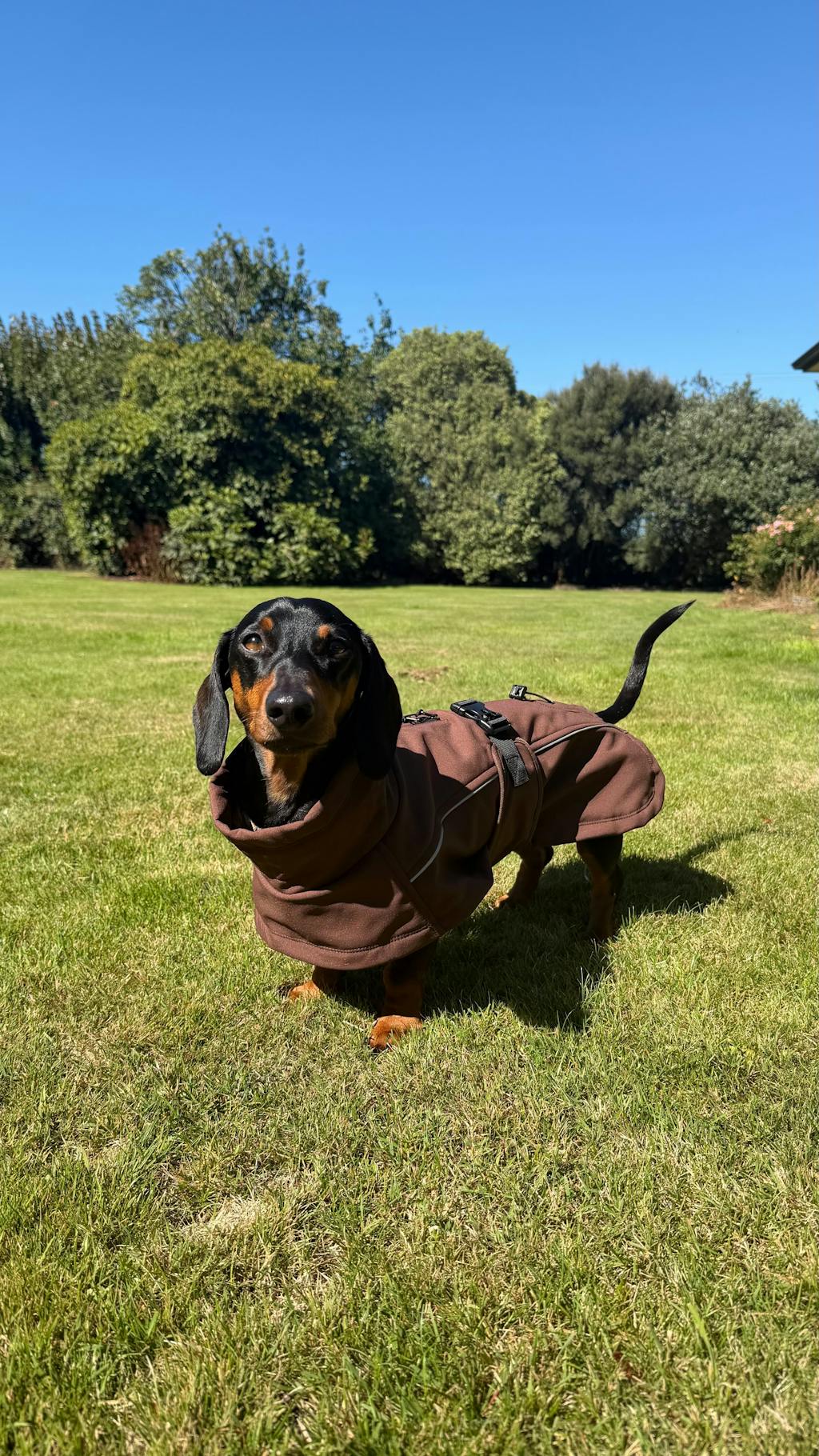 Waterproof Jacket - Maroon