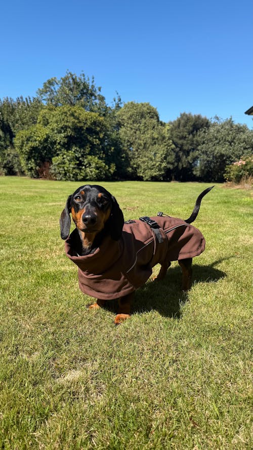 Waterproof Jacket - Maroon