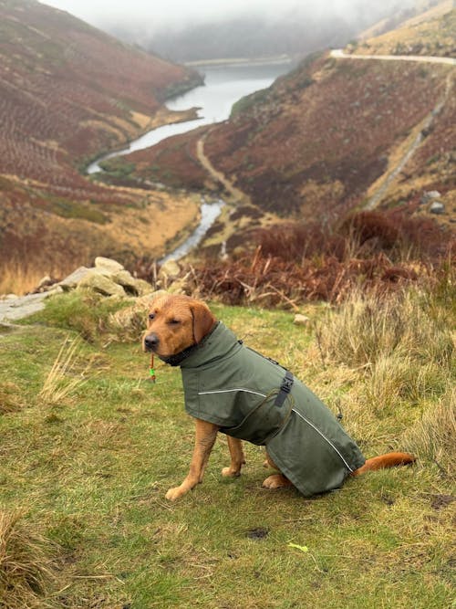 Waterproof Jacket - Maroon