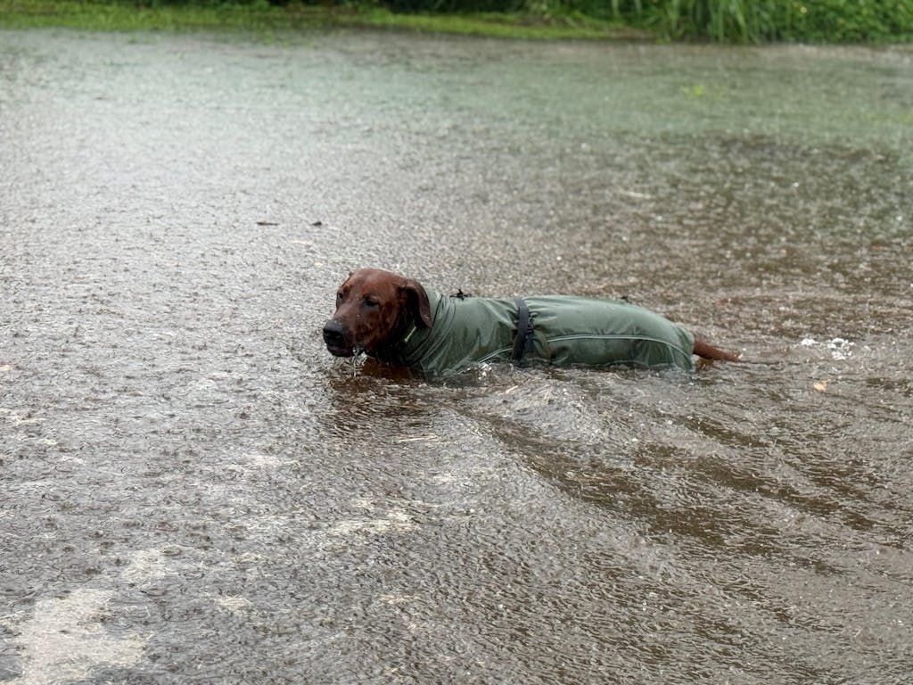 Waterproof Jacket - Maroon