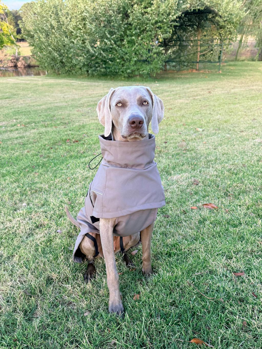 Waterproof Jacket - Mushroom