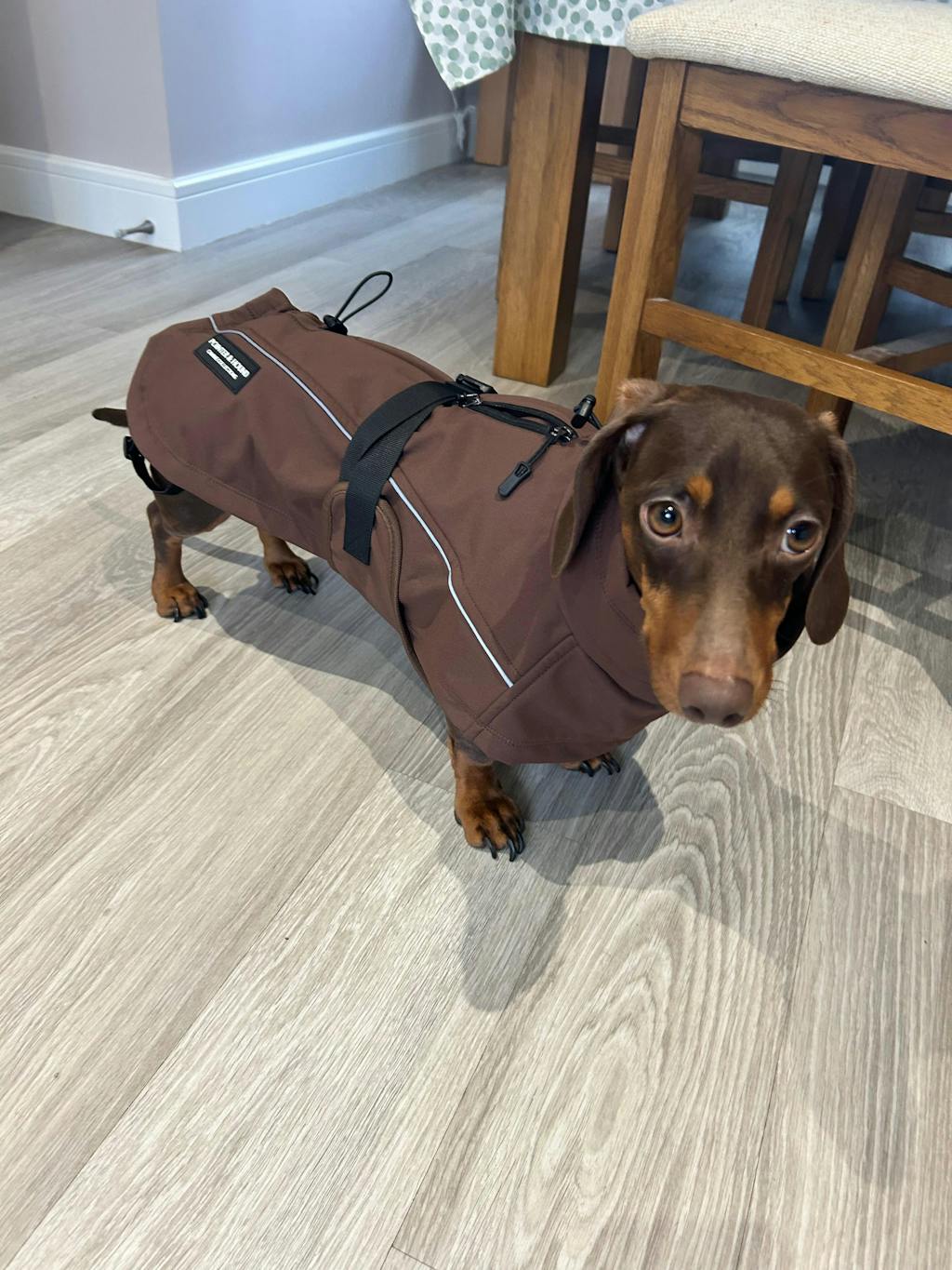 Waterproof Jacket - Maroon