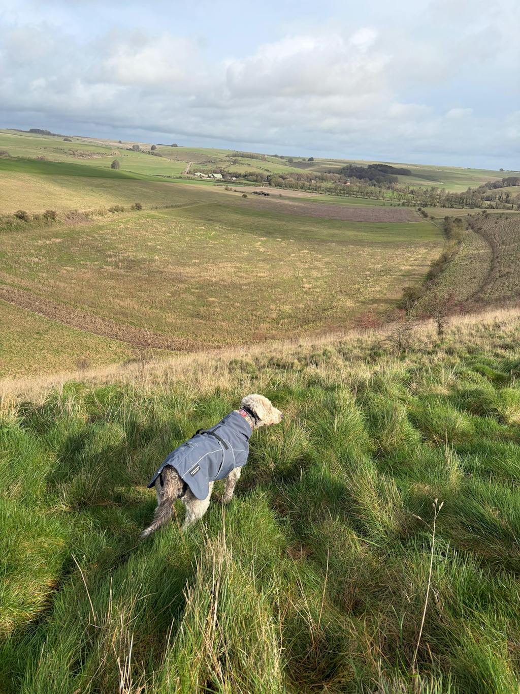 Waterproof Jacket - Slate Blue