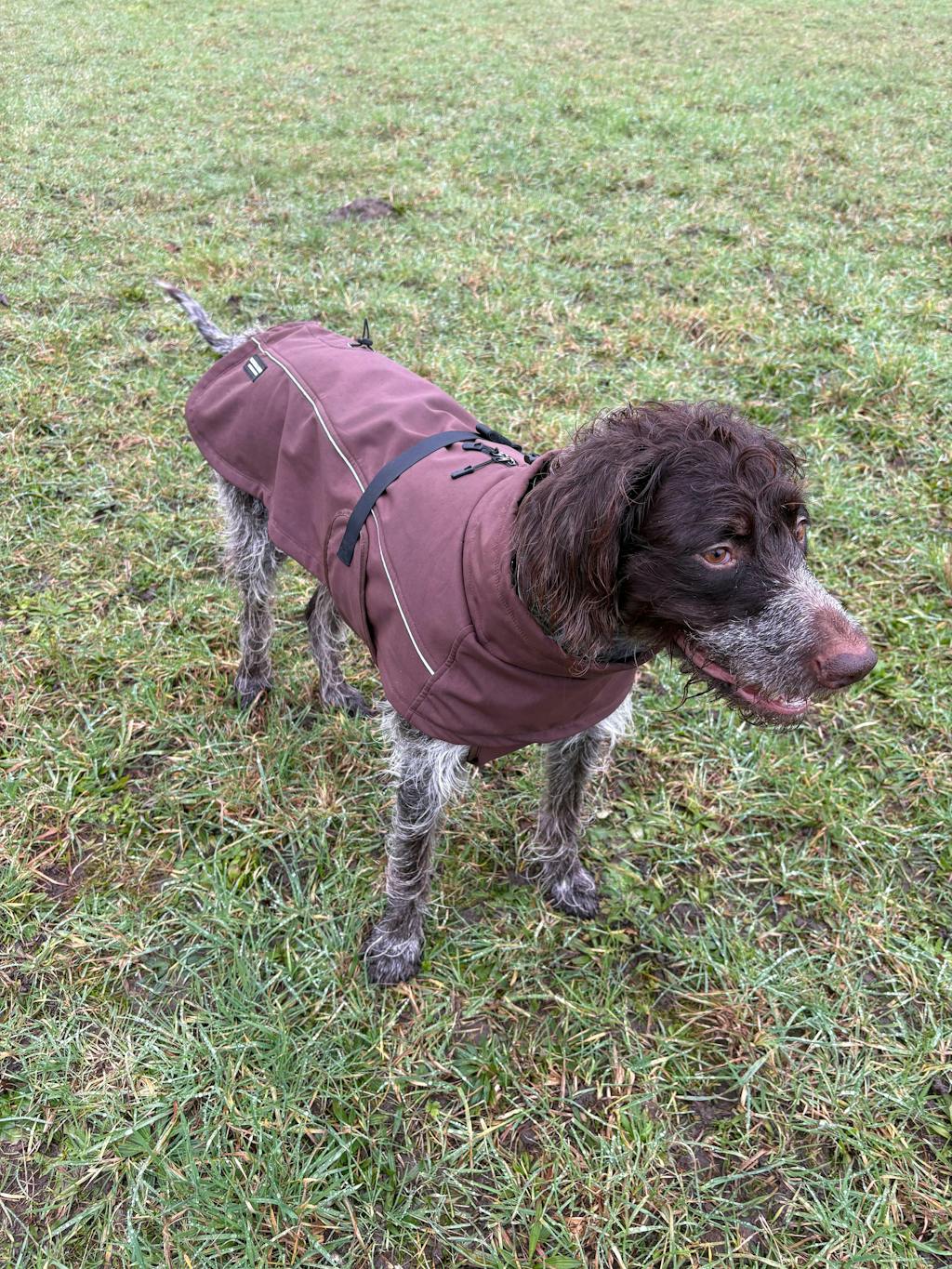 Waterproof Jacket - Maroon