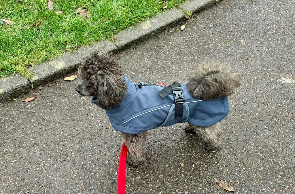 Waterproof Jacket - Slate Blue