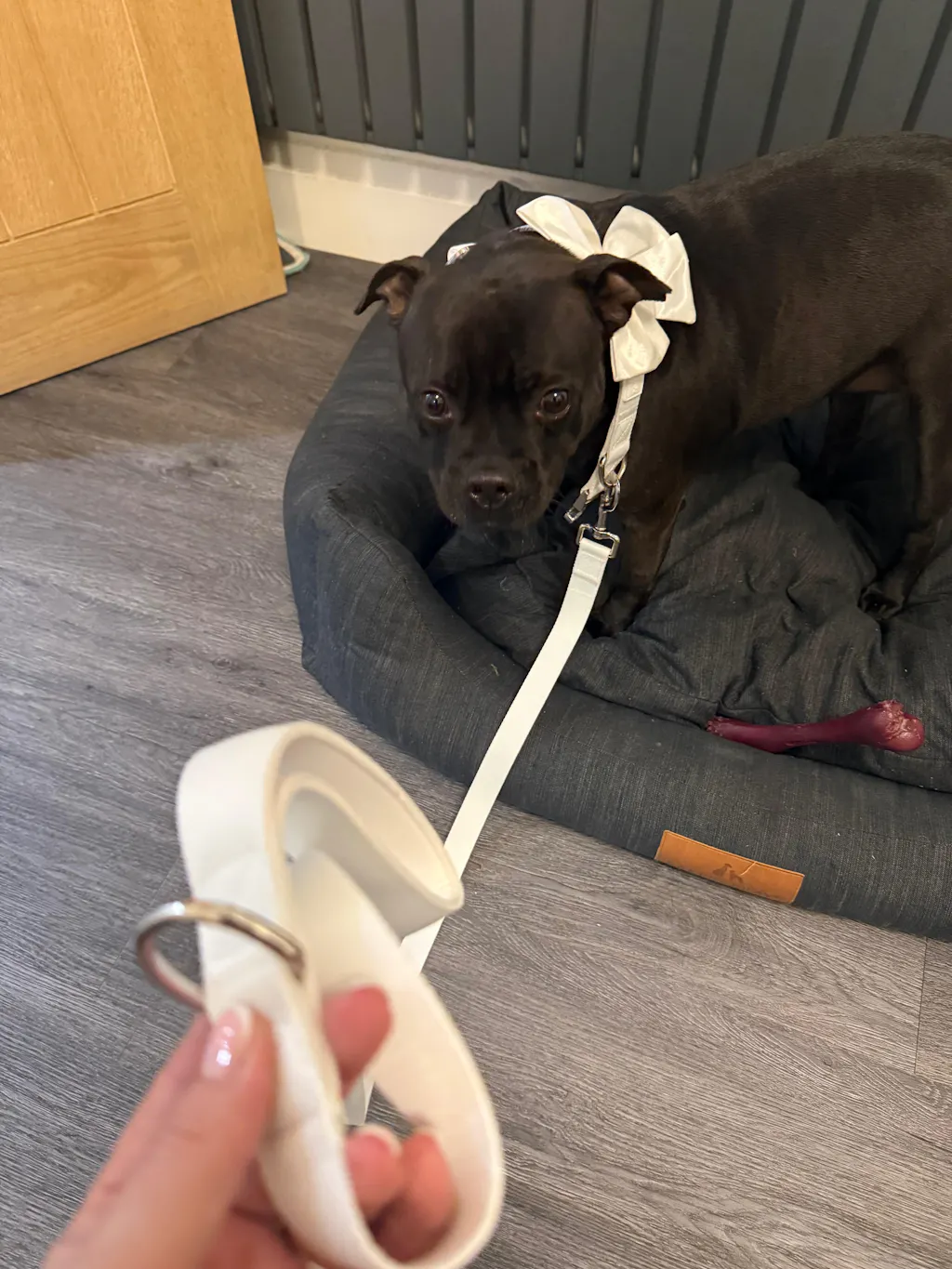 Wedding Set - White Bow