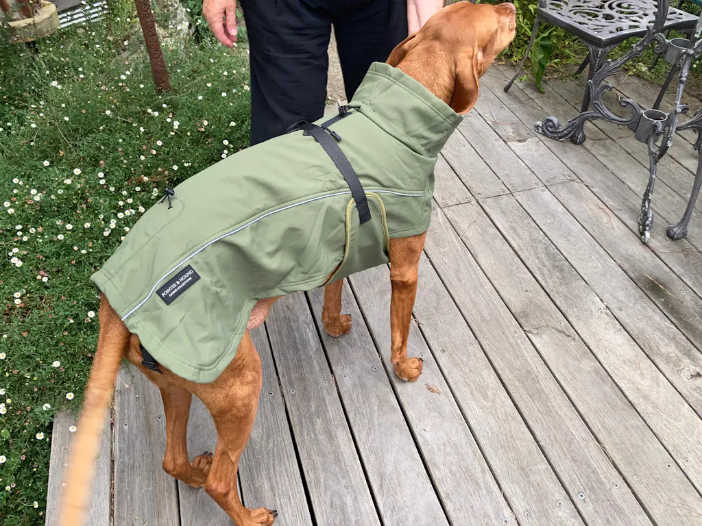 Waterproof Jacket - Green