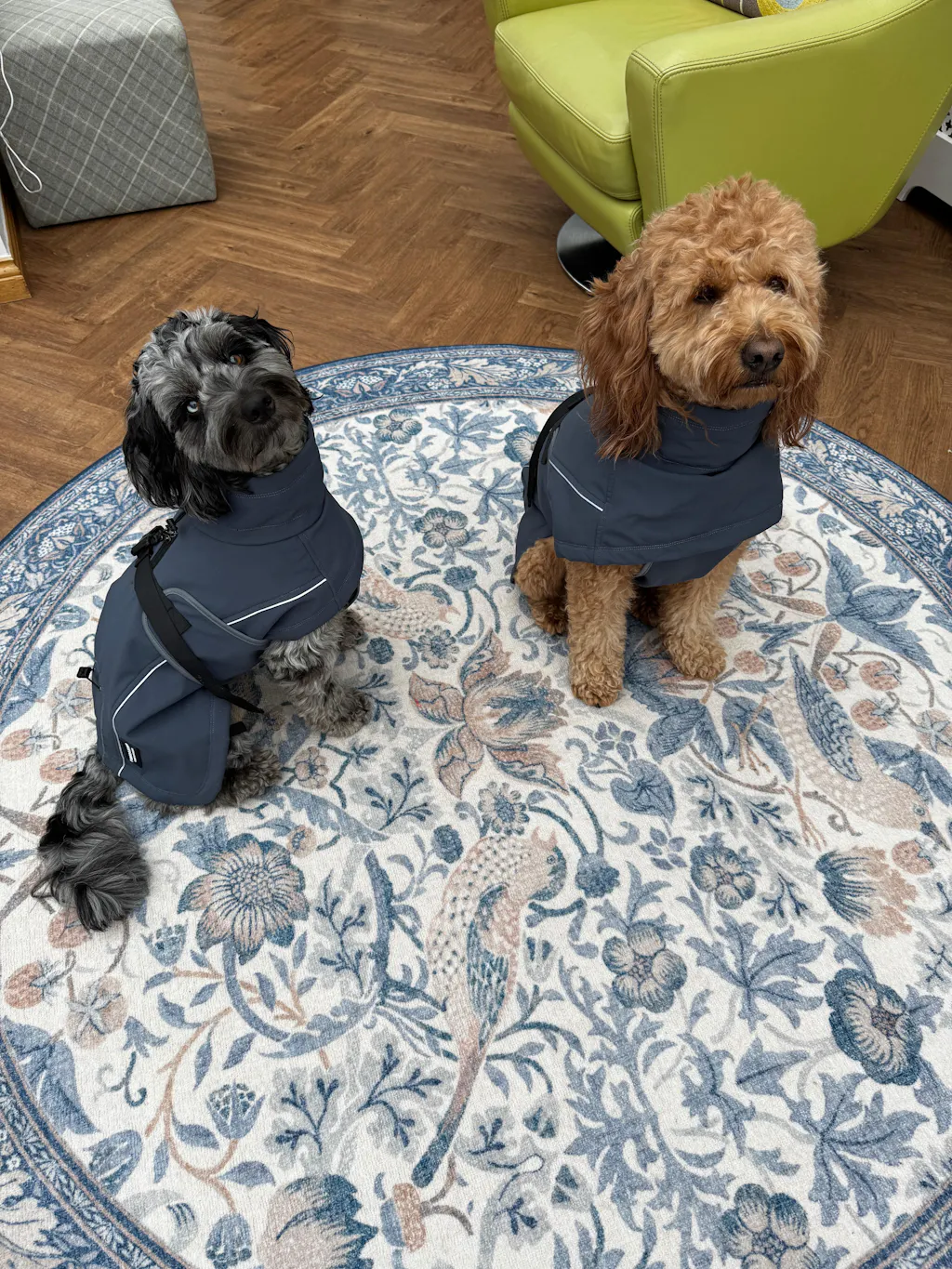 Waterproof Jacket - Slate Blue