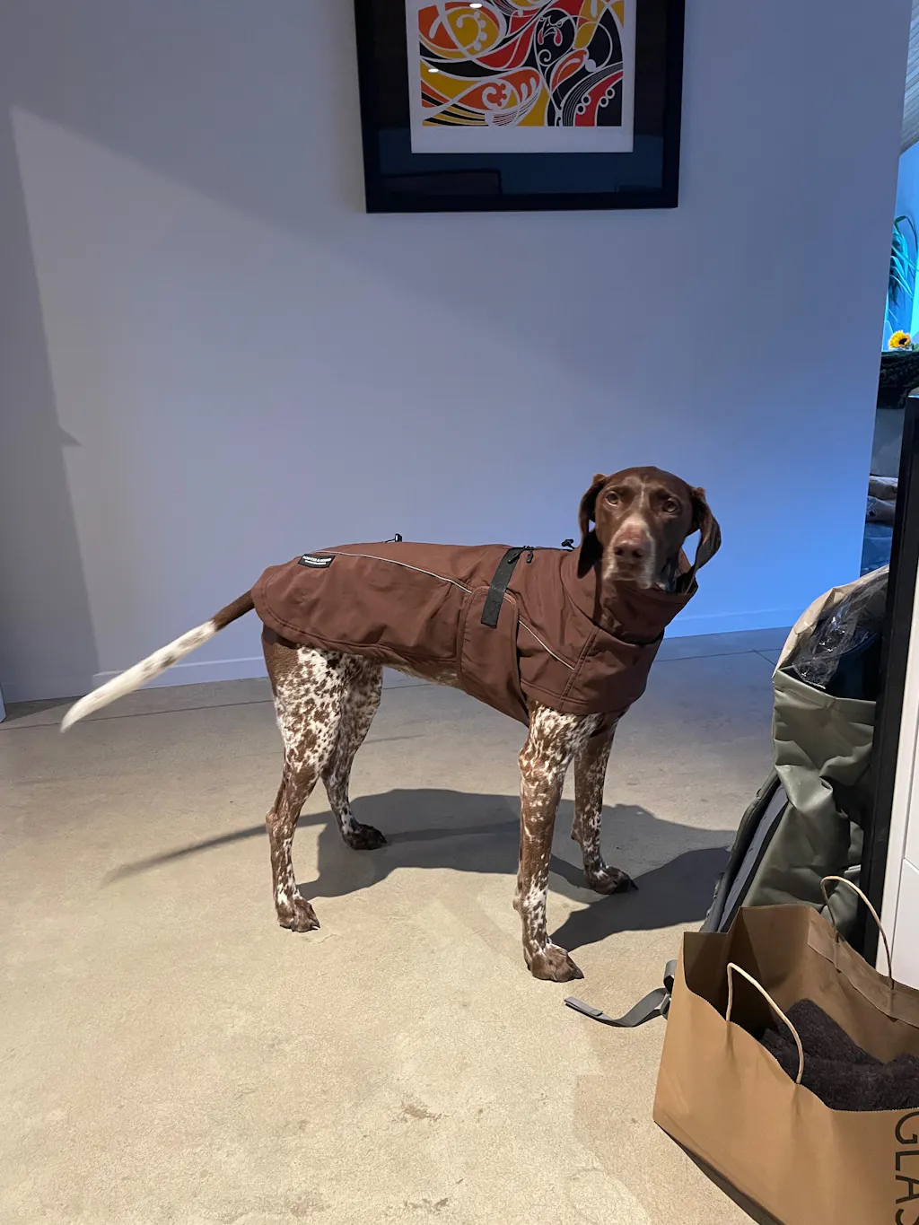 Waterproof Jacket - Maroon