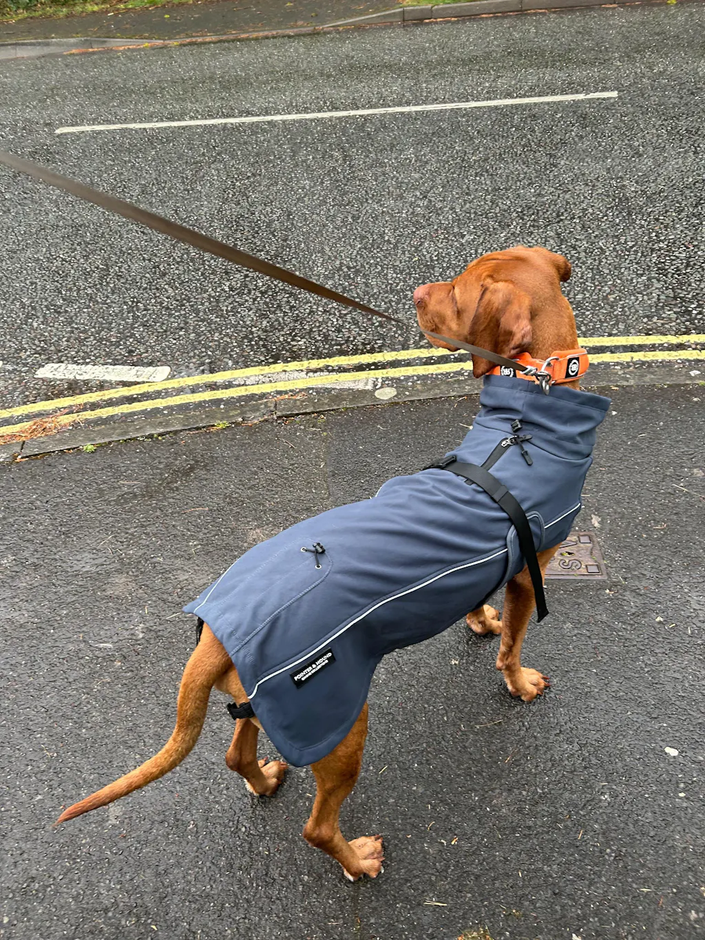 Waterproof Jacket - Slate Blue