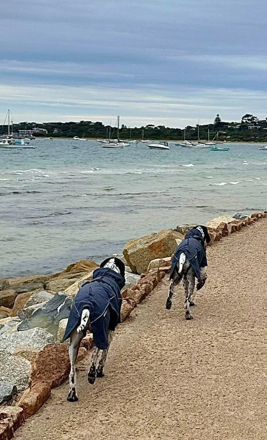 Waterproof Jacket - Slate Blue