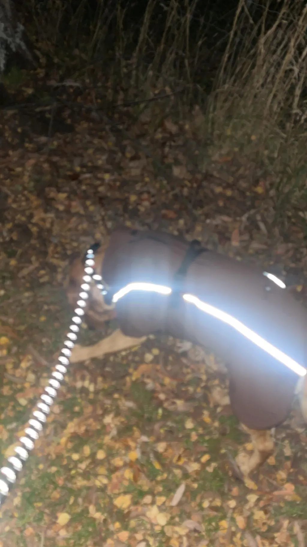 Waterproof Jacket - Maroon Brown