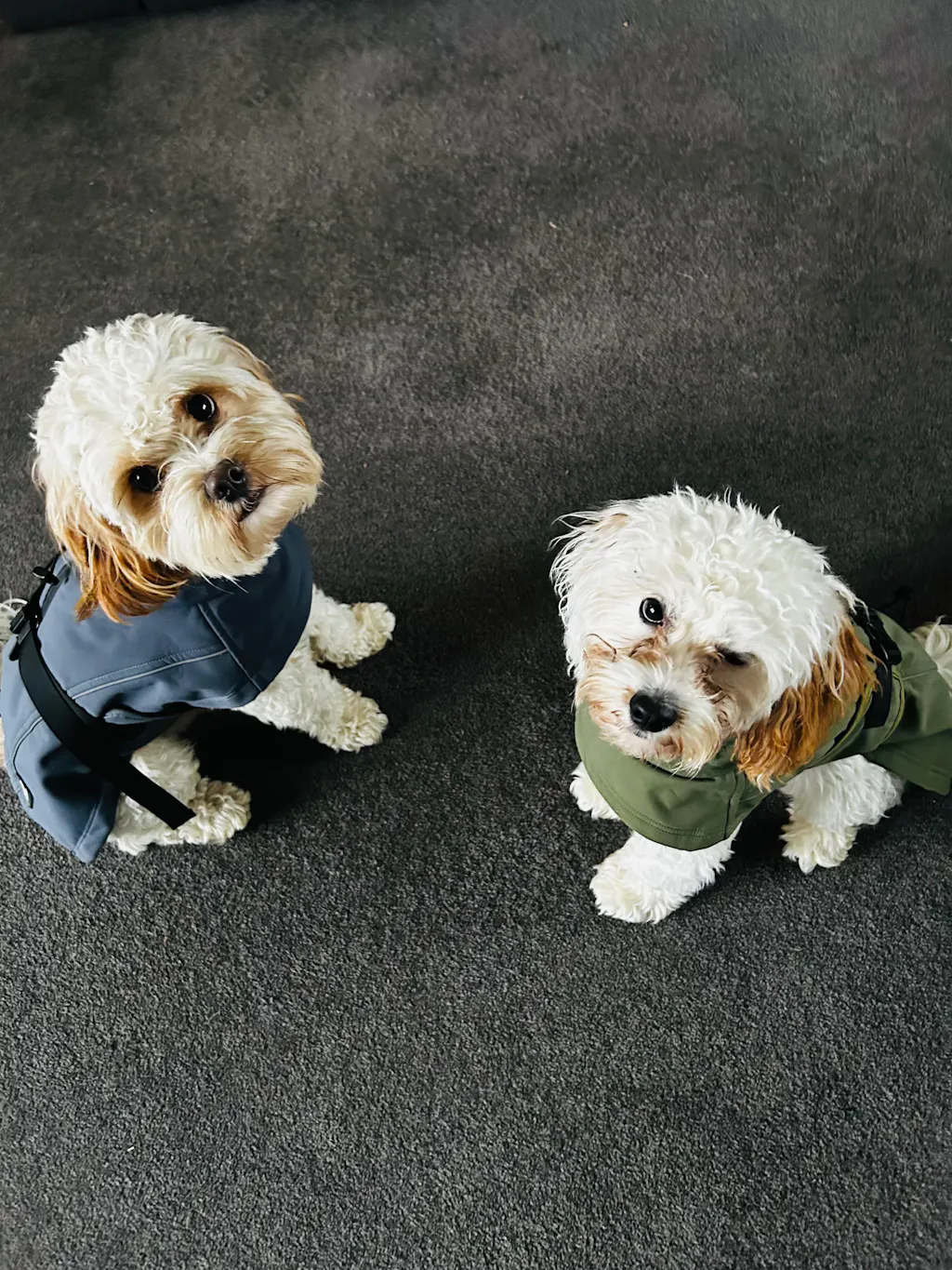 Waterproof Jacket - Green