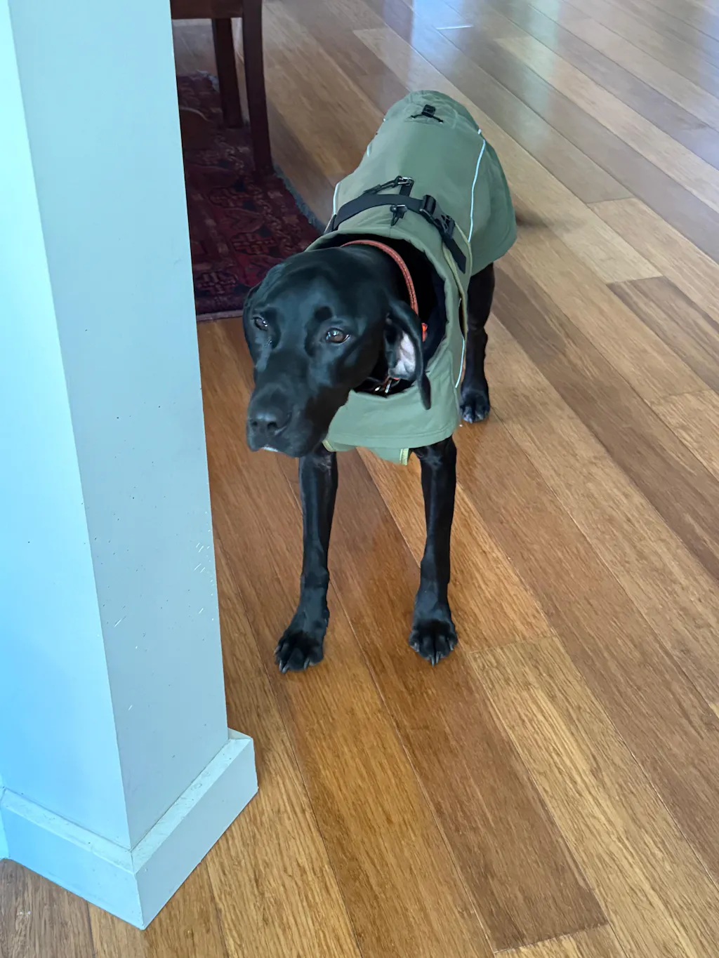 Waterproof Jacket - Green