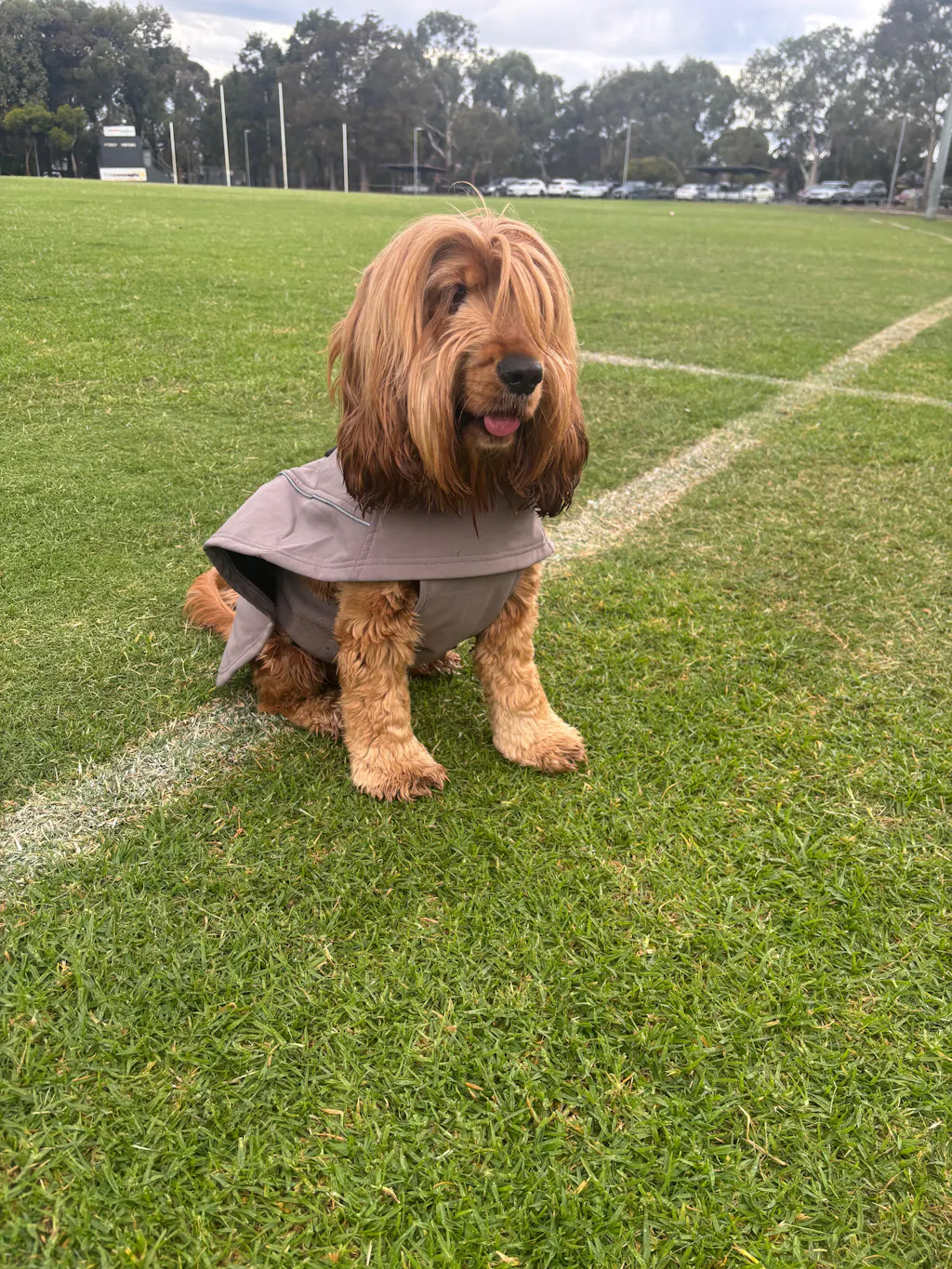 Waterproof Jacket - Mushroom