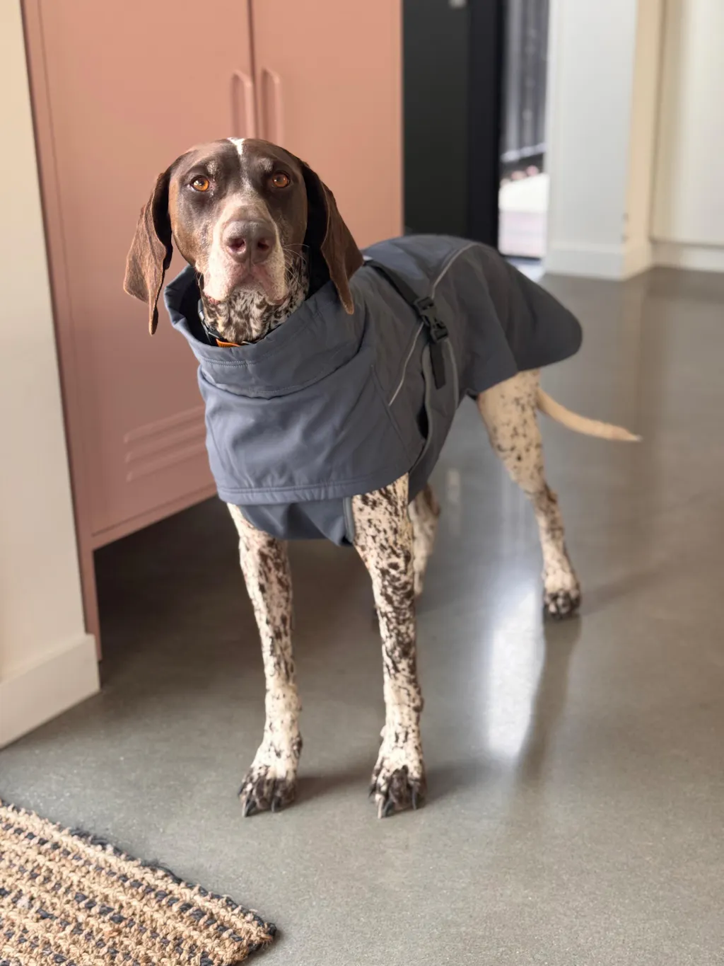 Waterproof Jacket - Slate Blue