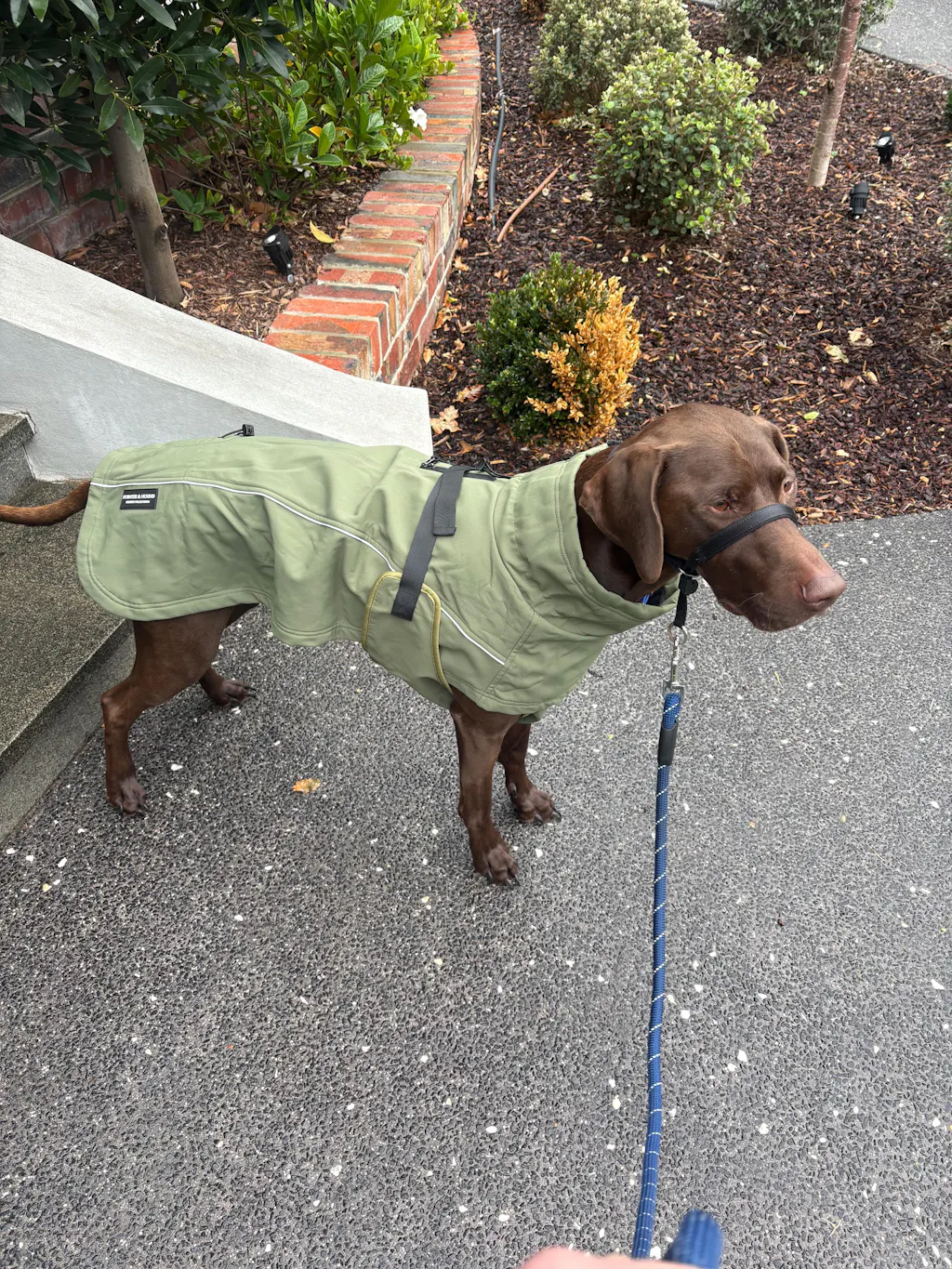 Waterproof Jacket - Green