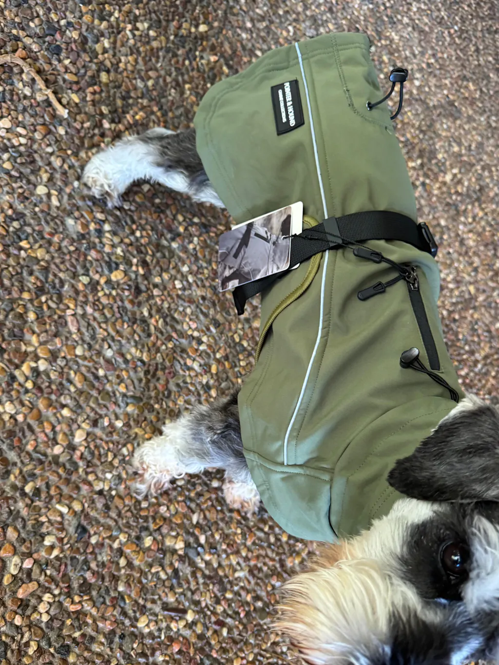 Waterproof Jacket - Green