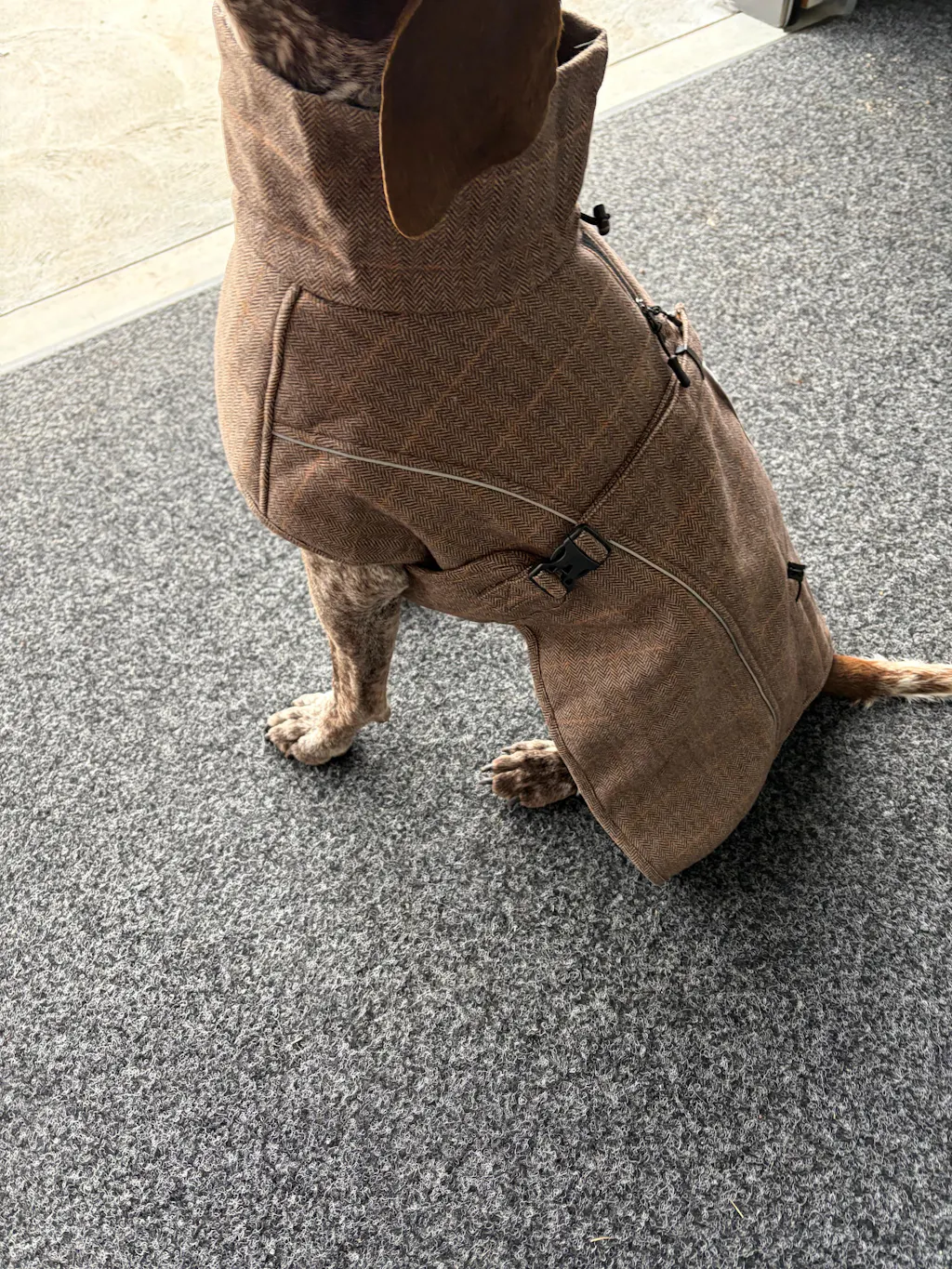 Highland Coat - Grey