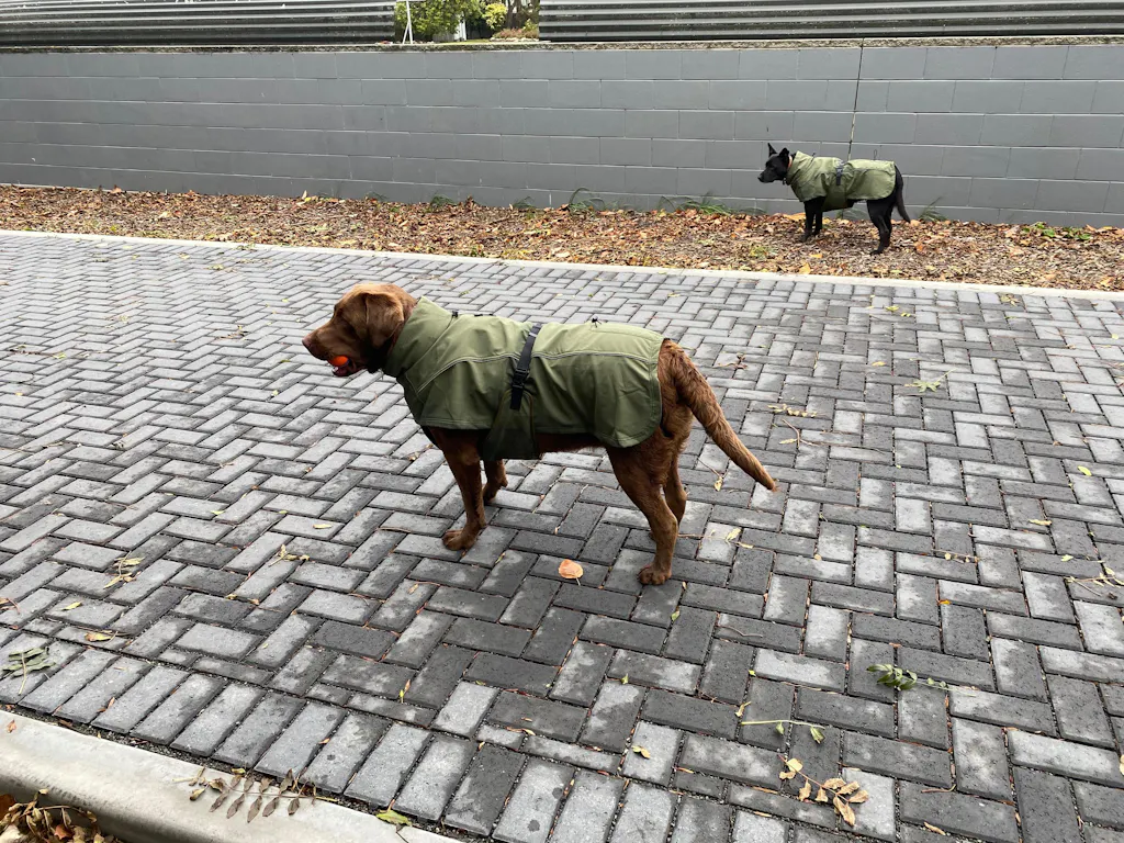 Waterproof Jacket - Green