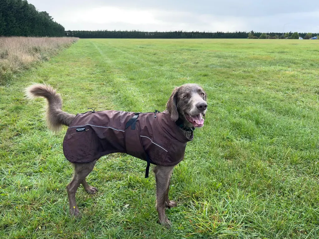 Waterproof Jacket - Maroon Brown