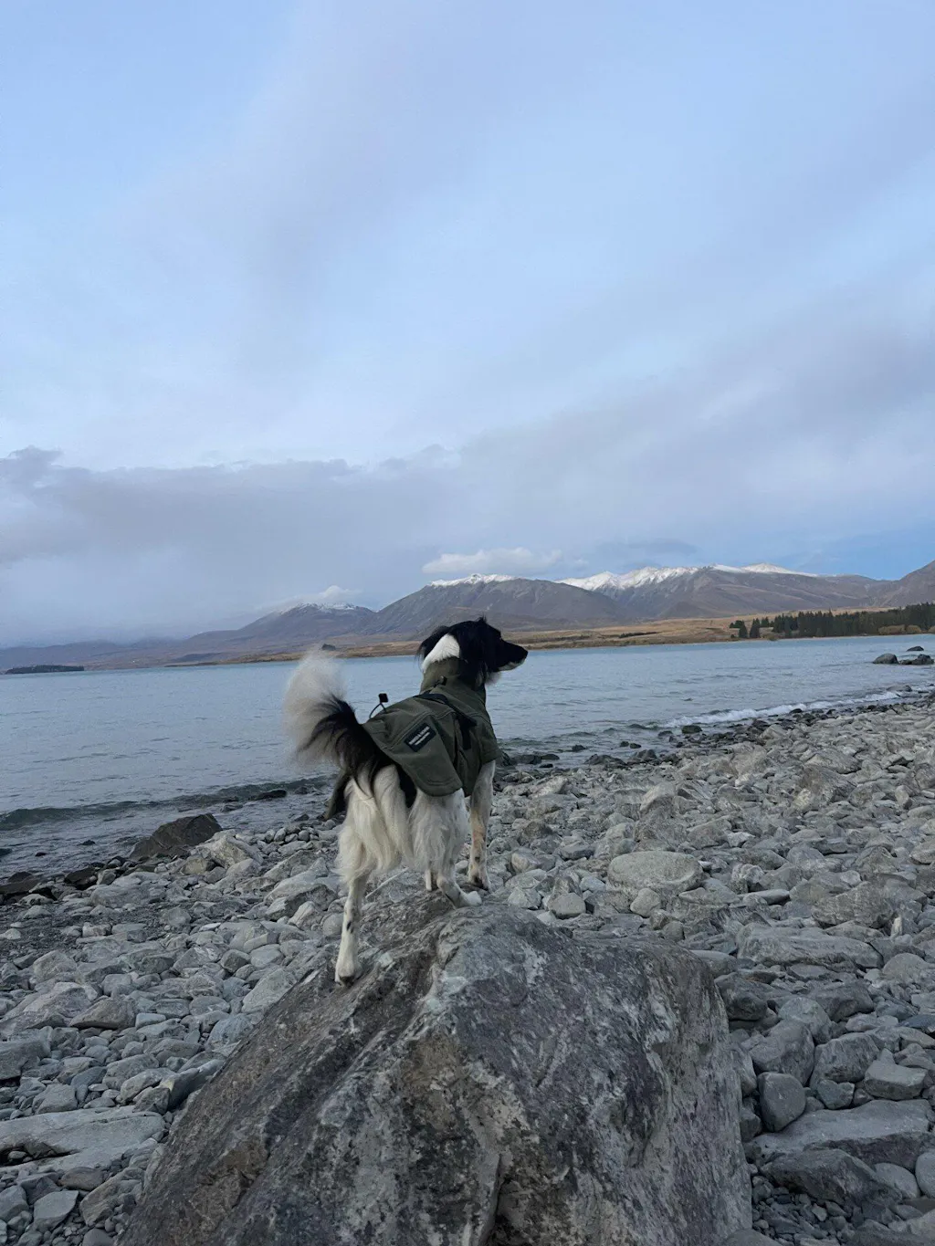 Waterproof Jacket - Green