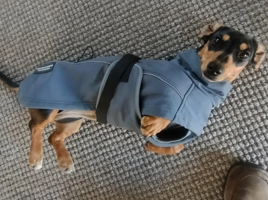 Waterproof Jacket - Slate Blue