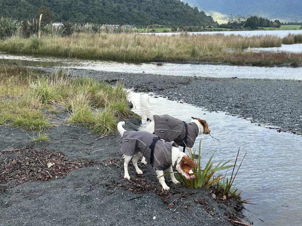 Waterproof Jacket - Mushroom