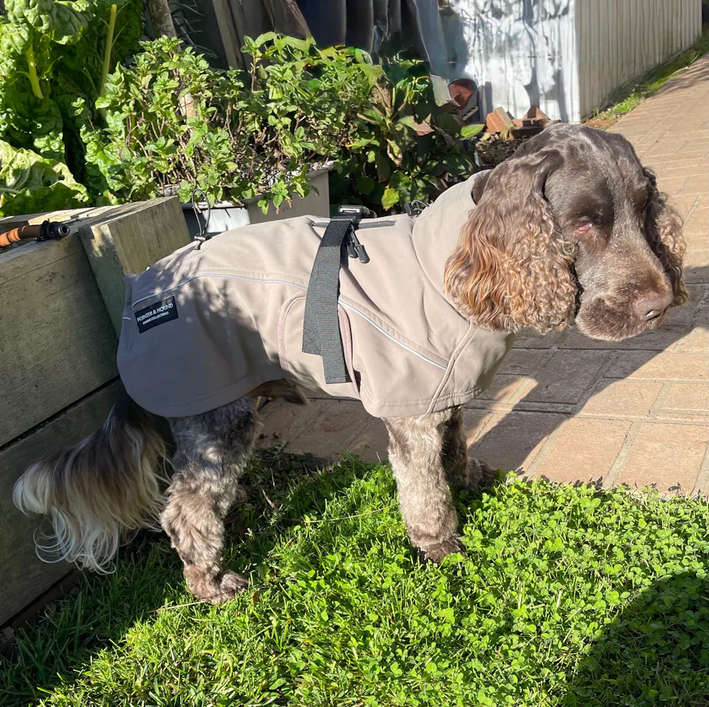 Waterproof Jacket - Mushroom