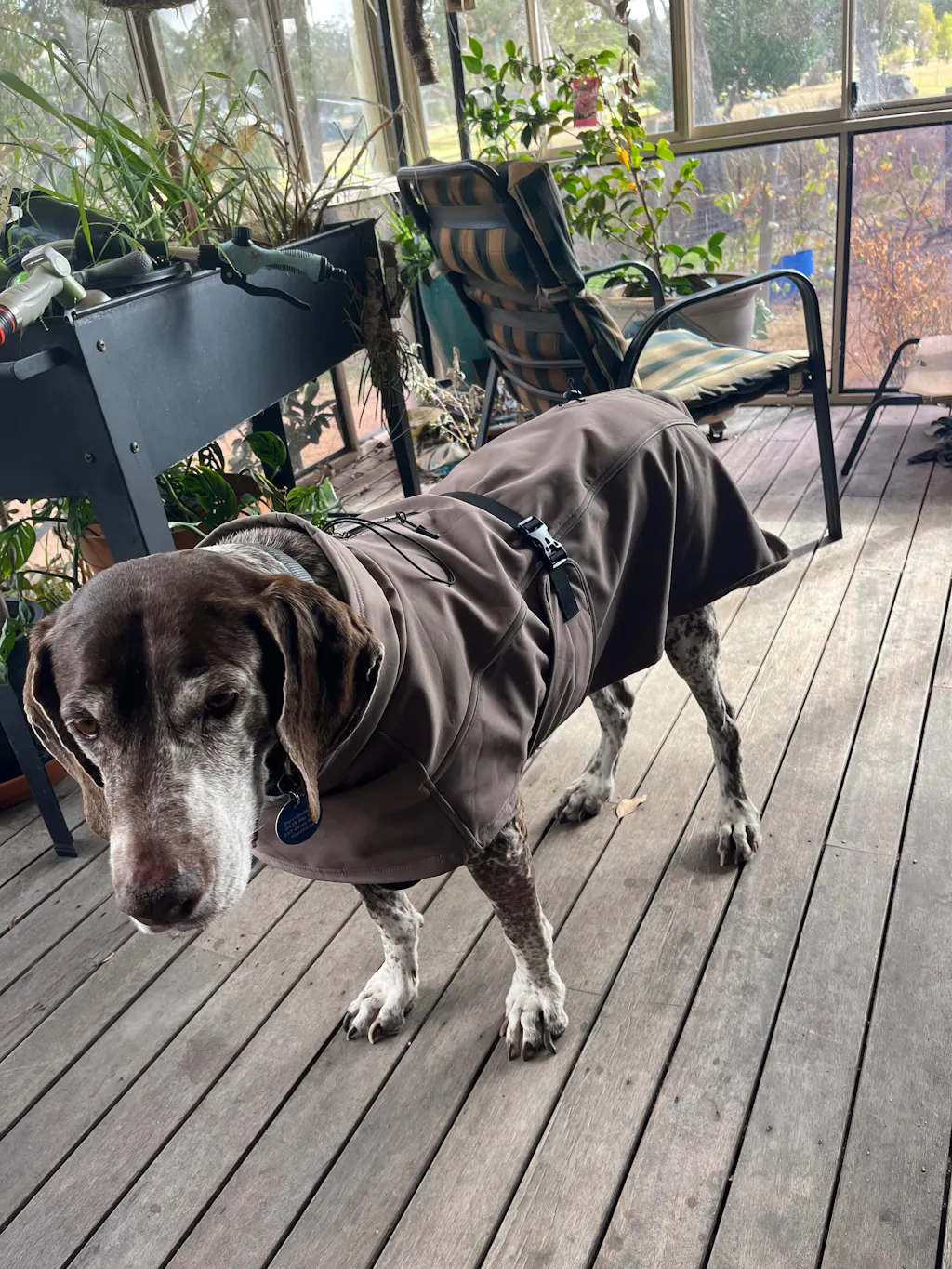 Waterproof Jacket - Mushroom