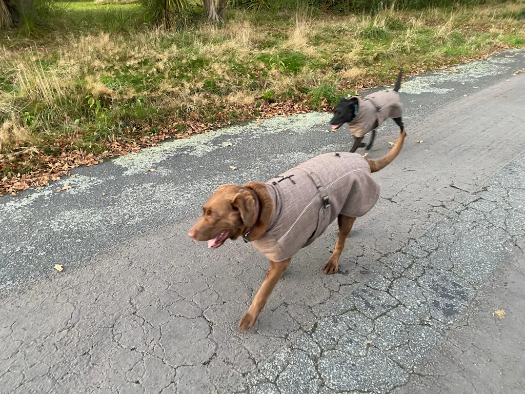 Highland Coat - Brown