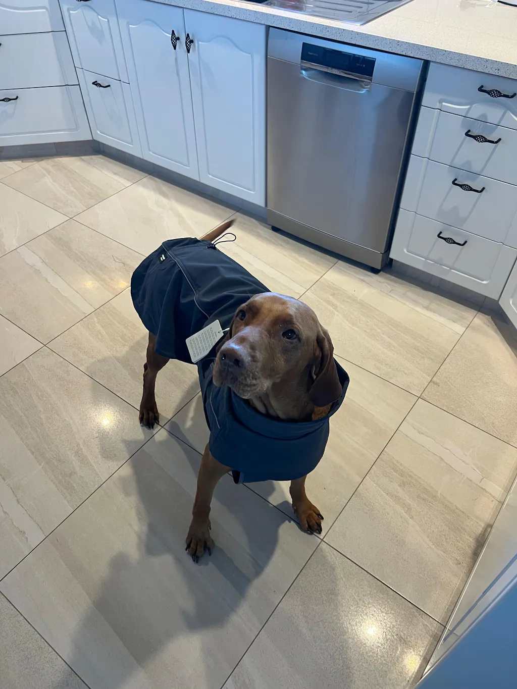 Waterproof Jacket - Slate Blue
