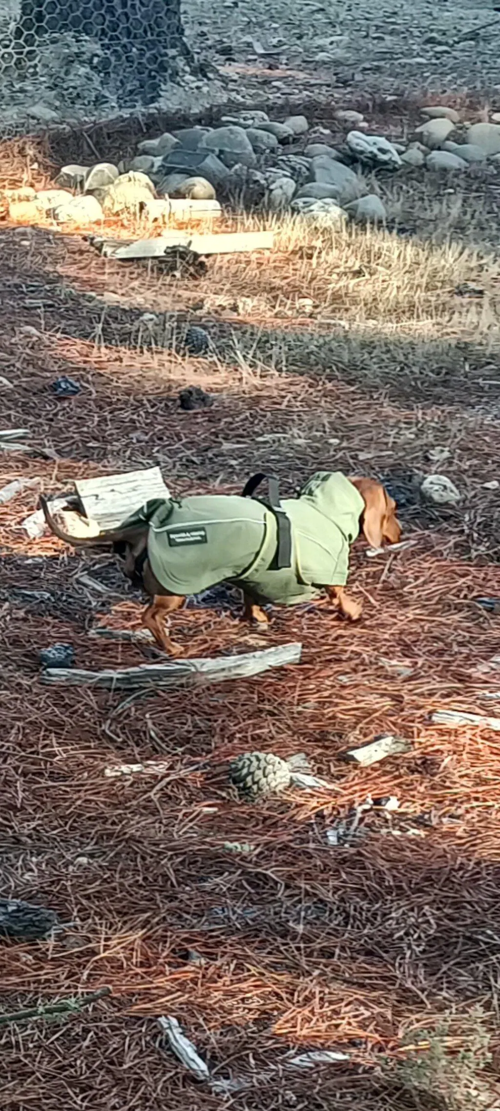 Waterproof Jacket - Green