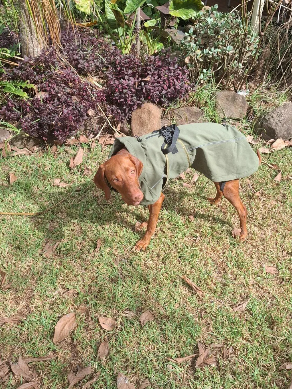 Waterproof Jacket - Green