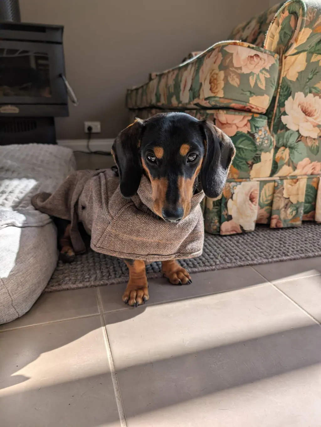 Highland Coat - Grey