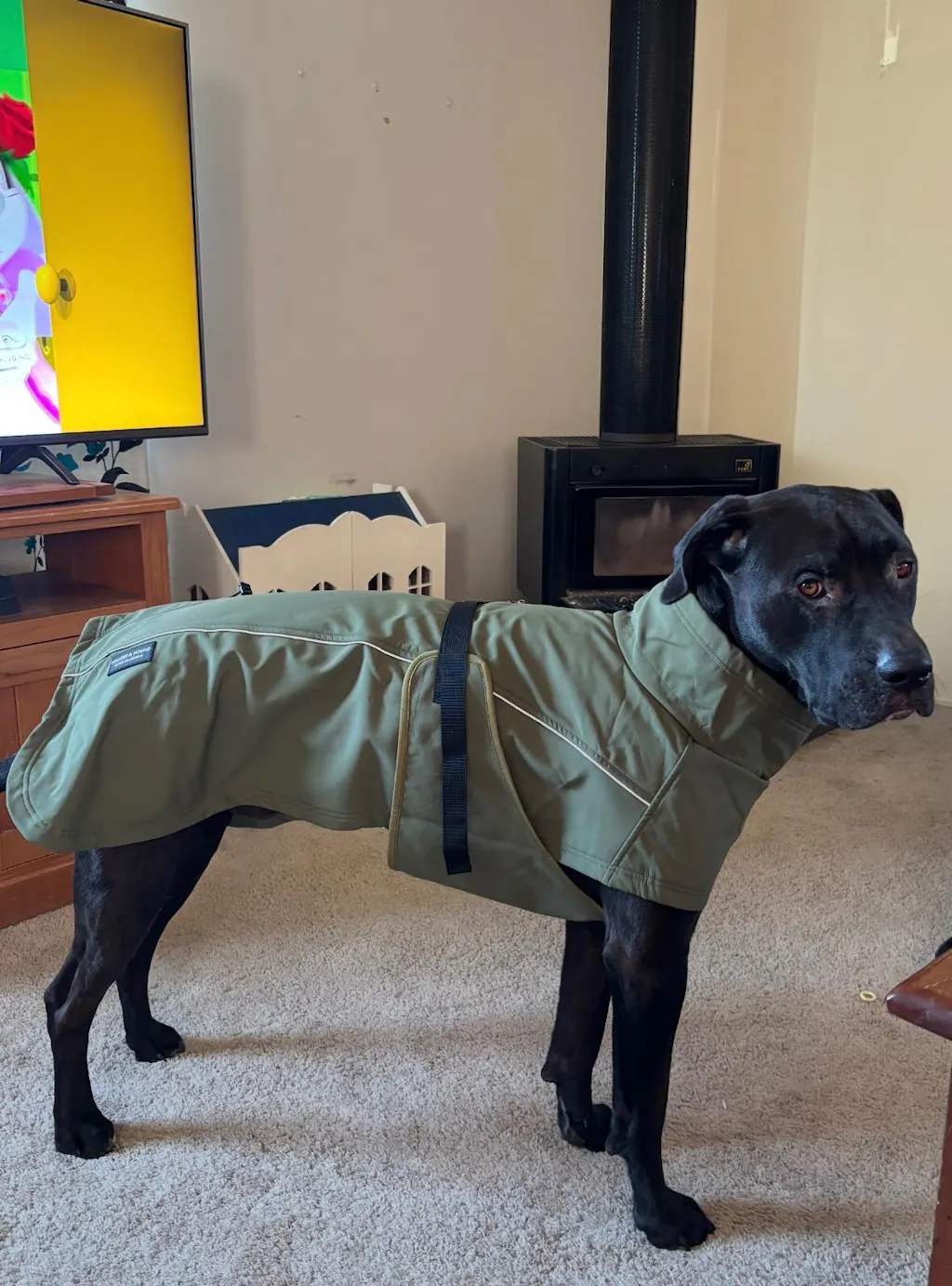 Waterproof Jacket - Green