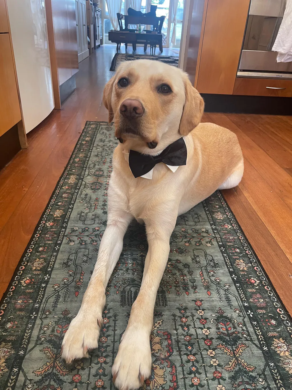 Wedding Set - Black Bow Tie