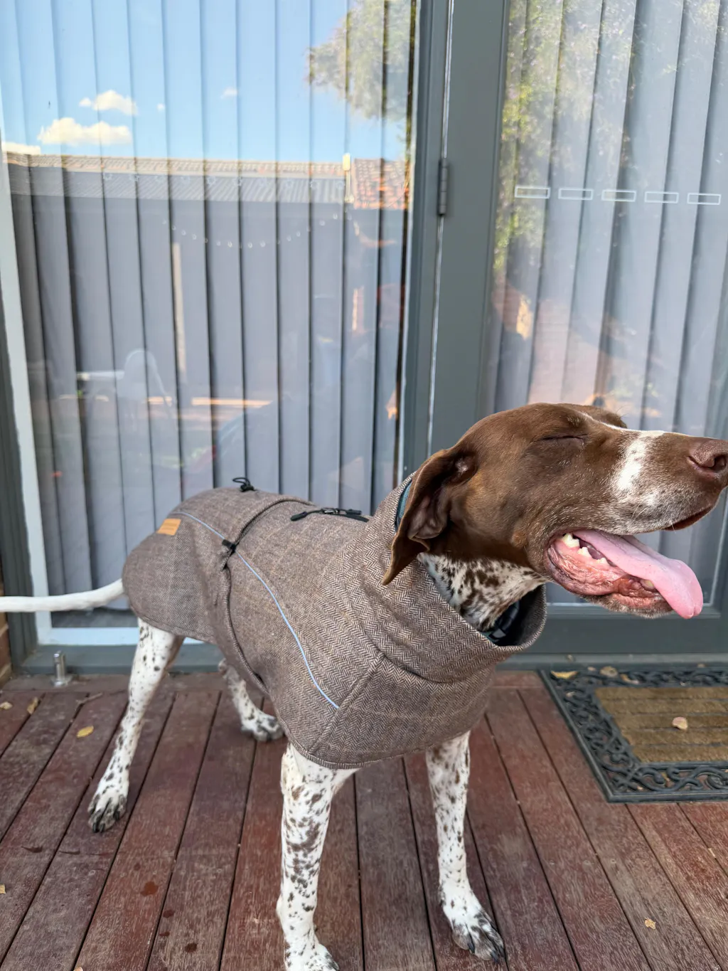 Pointer & Hound