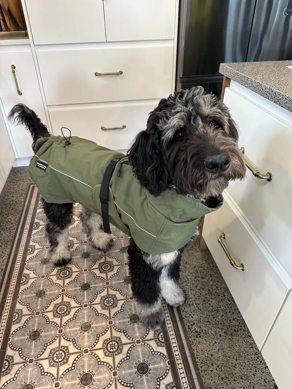 Waterproof Jacket - Green