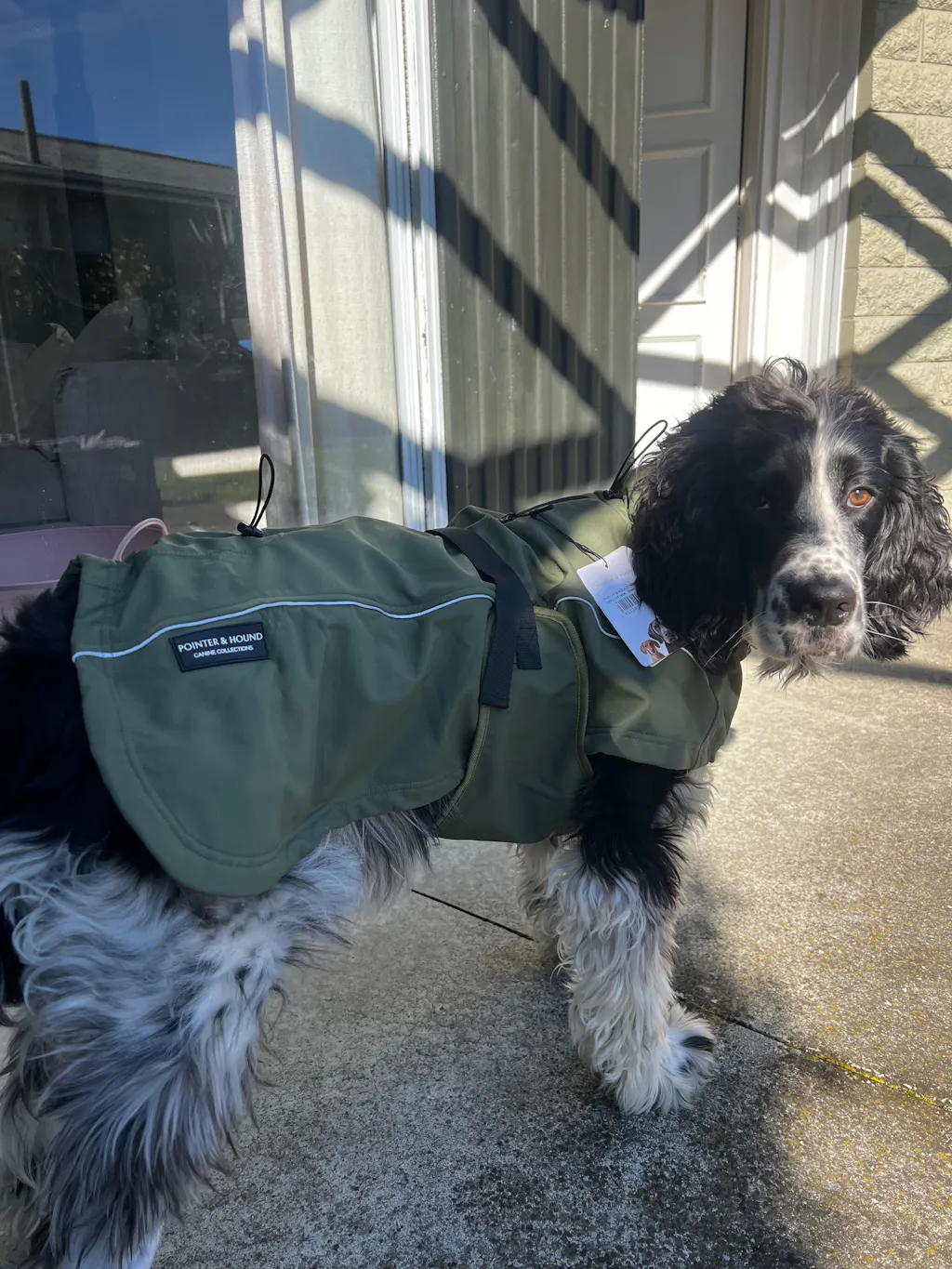 Waterproof Jacket - Green