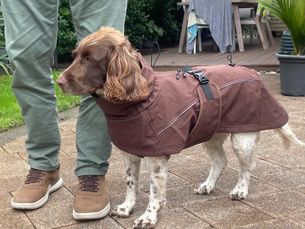 Waterproof Jacket - Maroon Brown