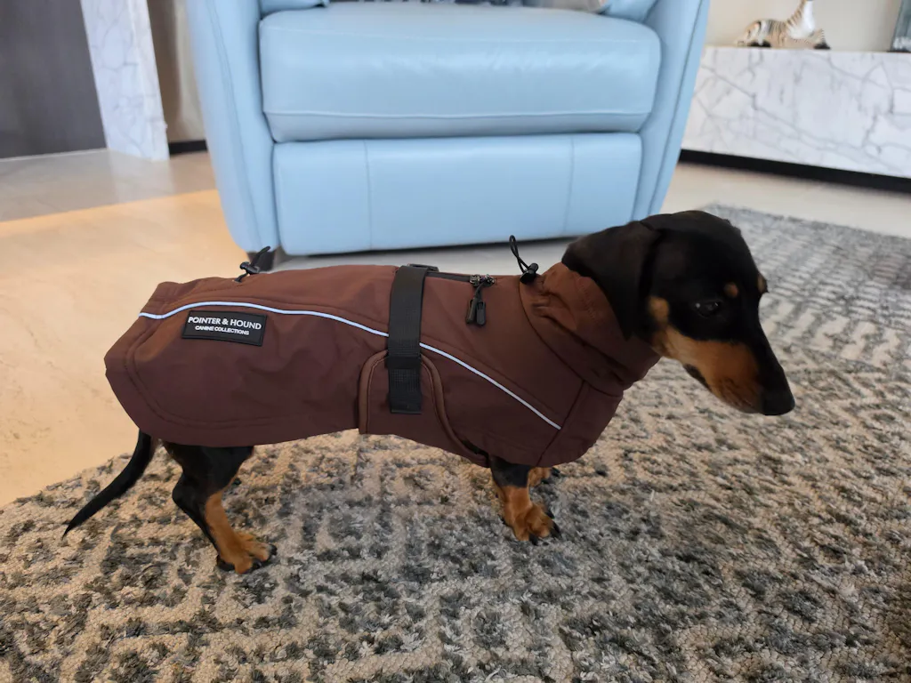 Waterproof Jacket - Maroon Brown