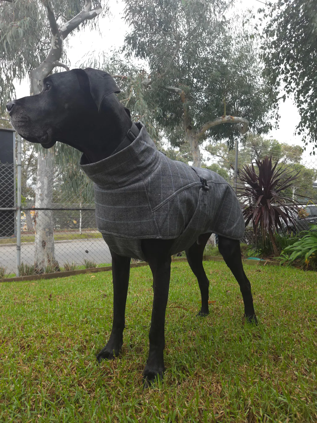 Highland Coat - Grey