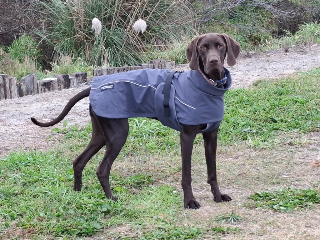 Waterproof Jacket - Slate Blue